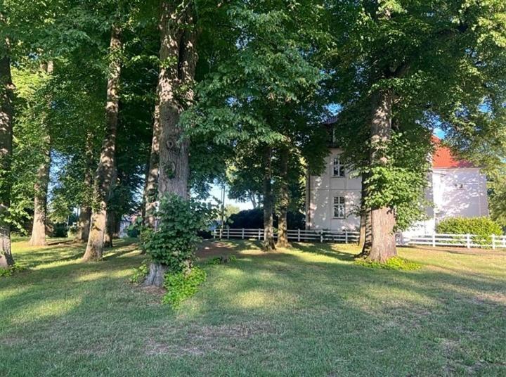 Familienfreundliche Ferienwohnung Mit Wintergarten Badow المظهر الخارجي الصورة